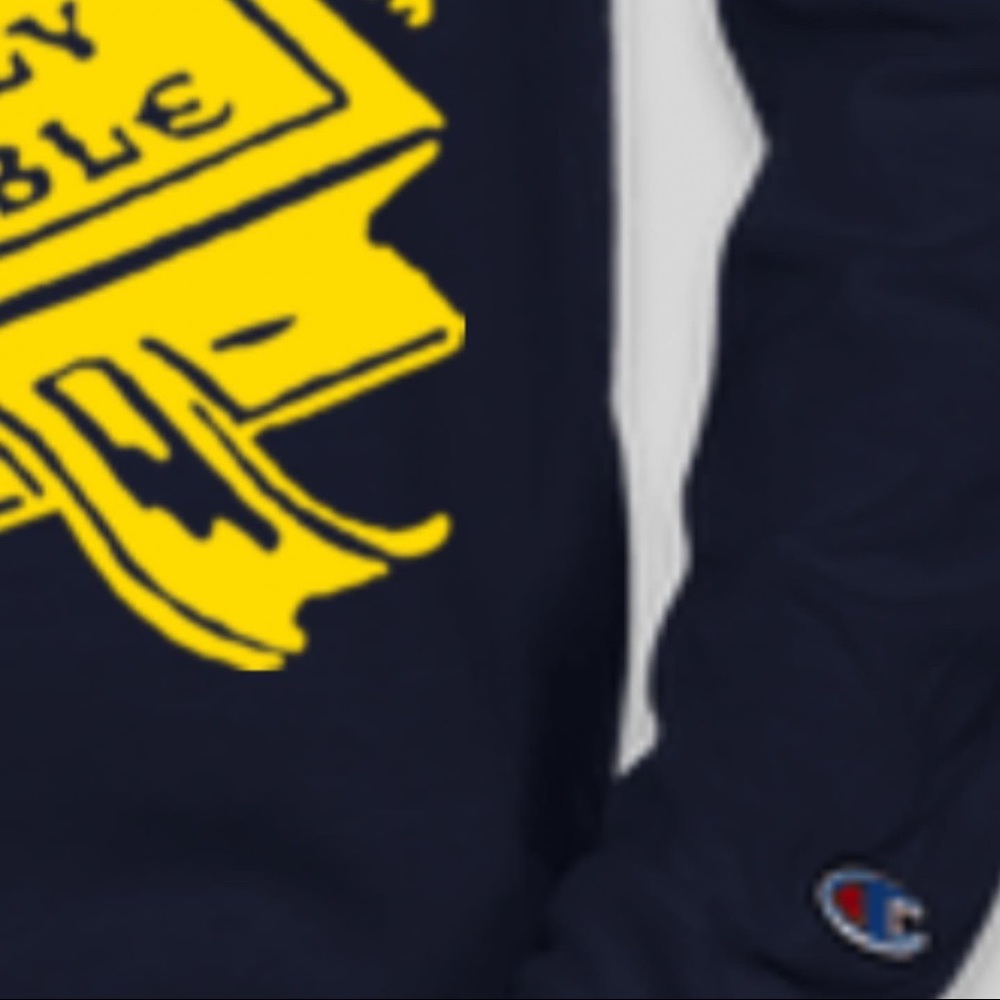 Custom ink made champion long sleeve t shirts